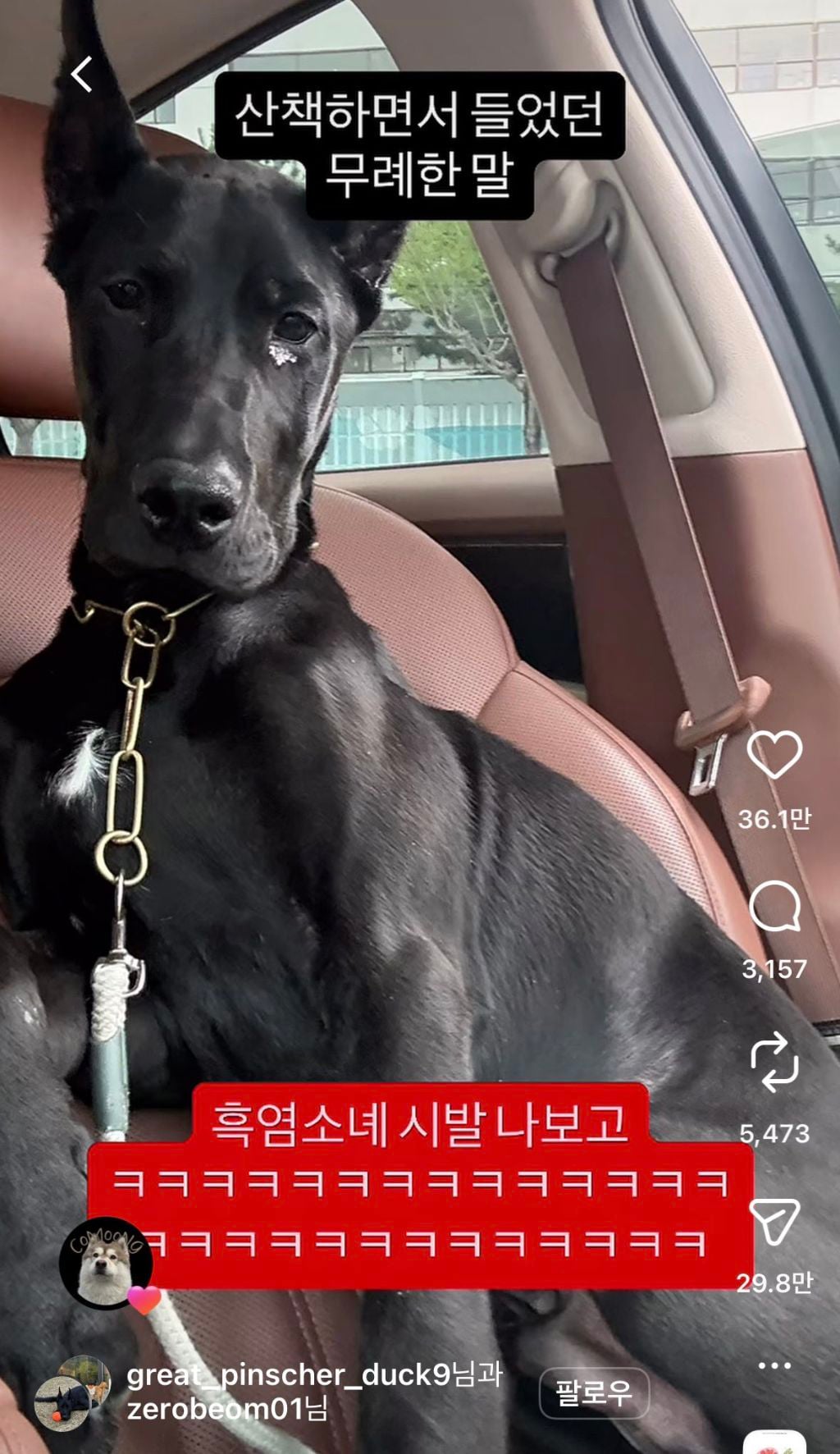 산책하면서 들었던 가장 무례한 말 | 인스티즈