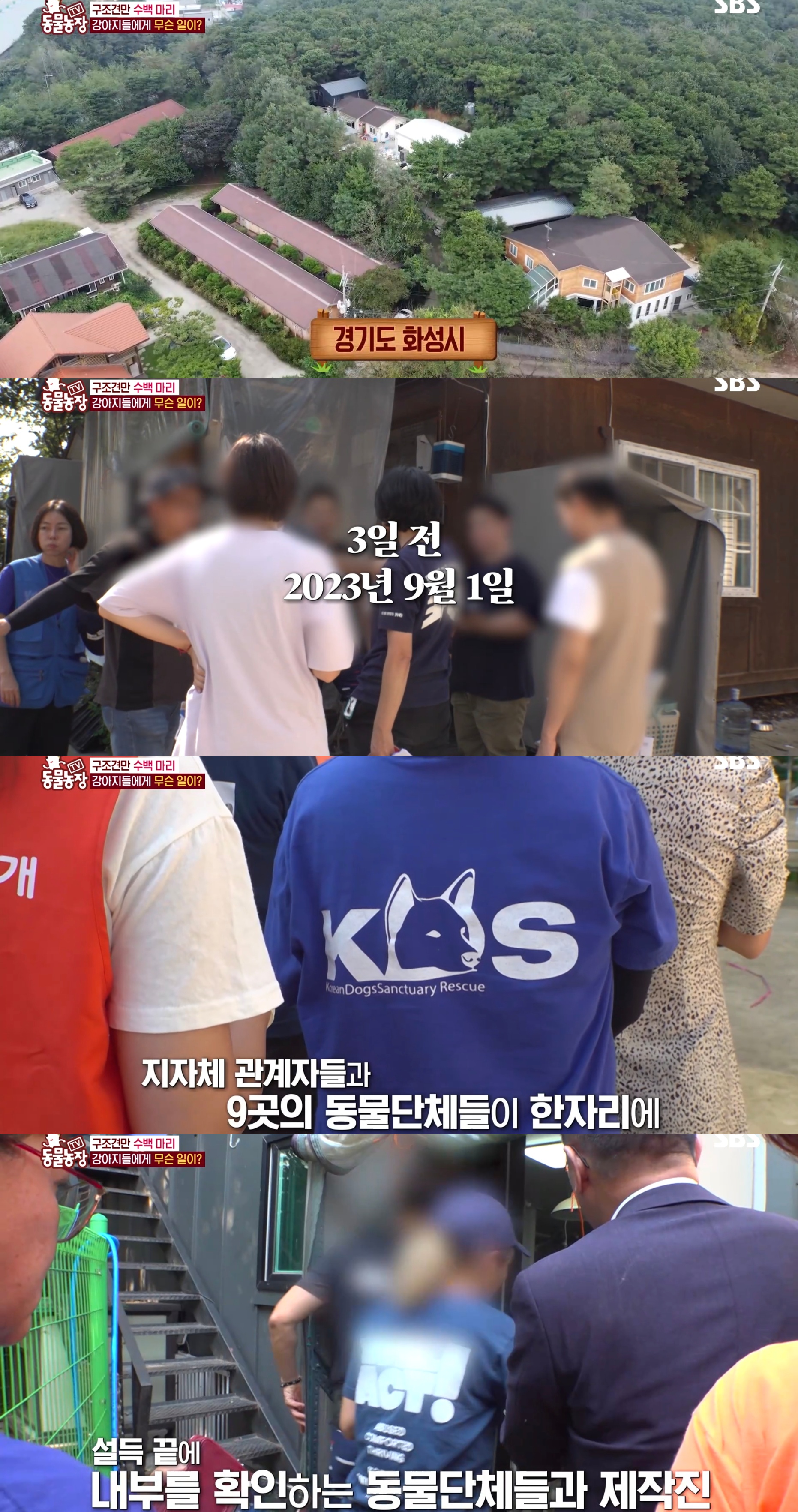 충격이다 못해 기괴한 오늘자 동물농장 폭로 방송 (충격주의).jpg | 인스티즈