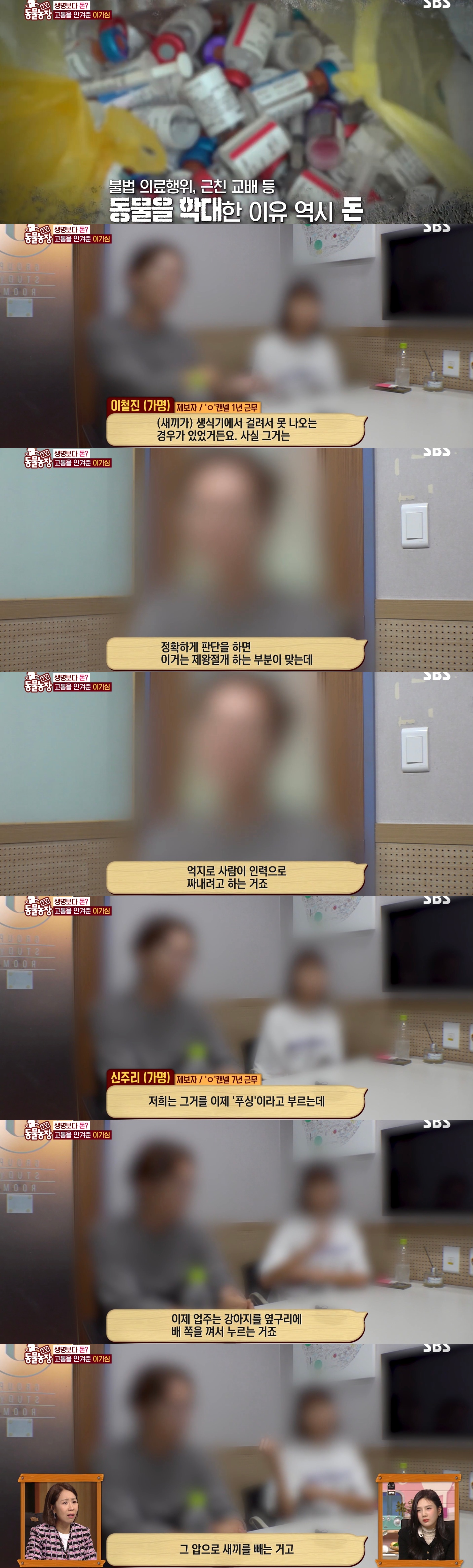 충격이다 못해 기괴한 오늘자 동물농장 폭로 방송 (충격주의).jpg | 인스티즈