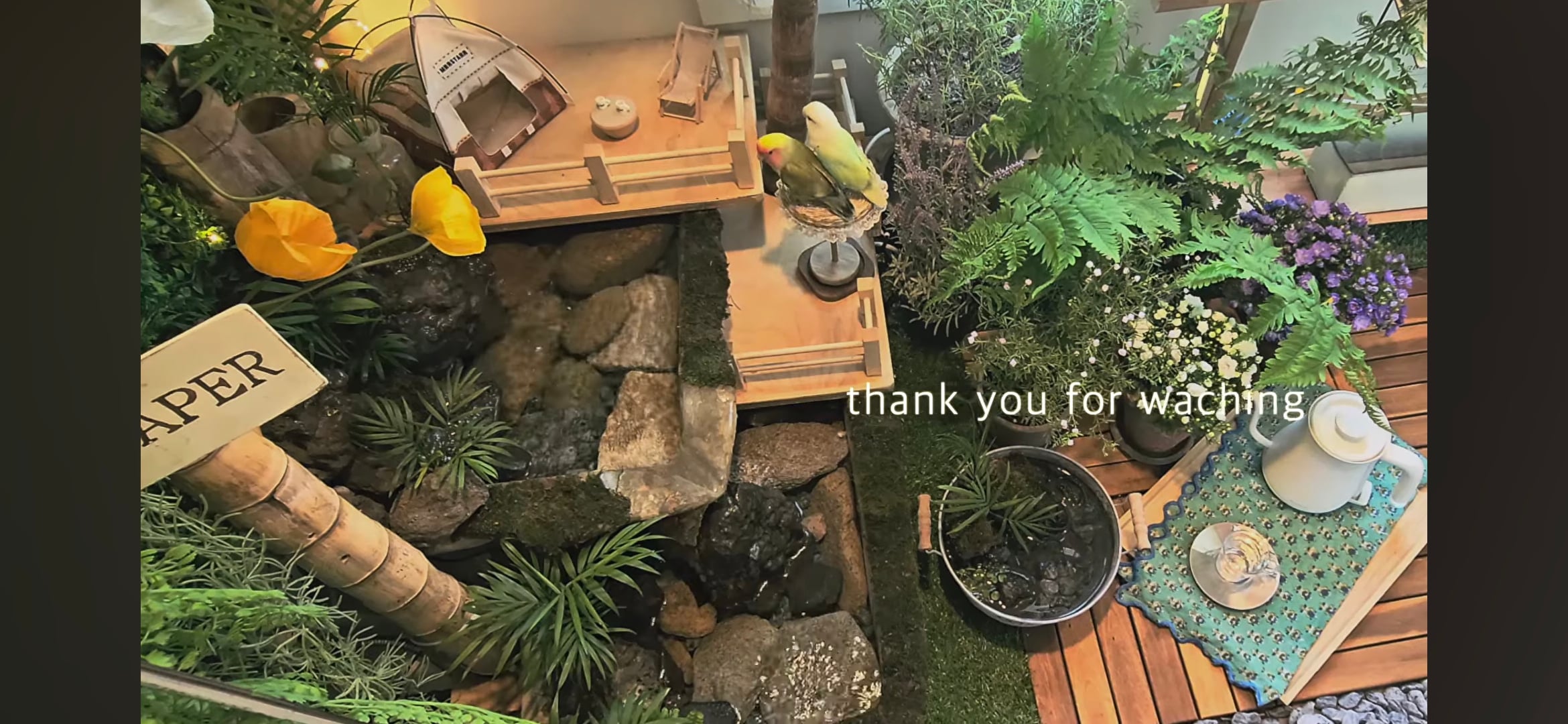 다이소로 만든 연못 정원🌿 관리 (+🐦🦜) | 인스티즈
