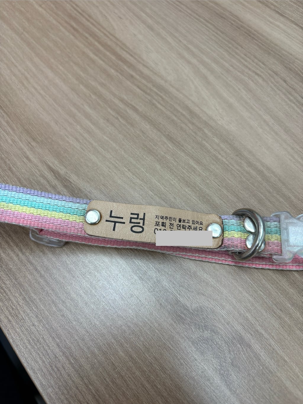 내가 멍줍해온 가나디 봐줘 ··· | 인스티즈