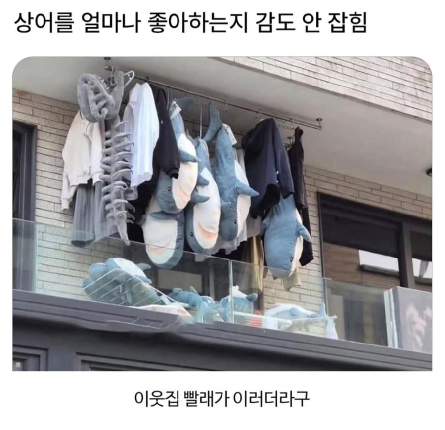 이웃집 상어 좋아 광인 | 인스티즈