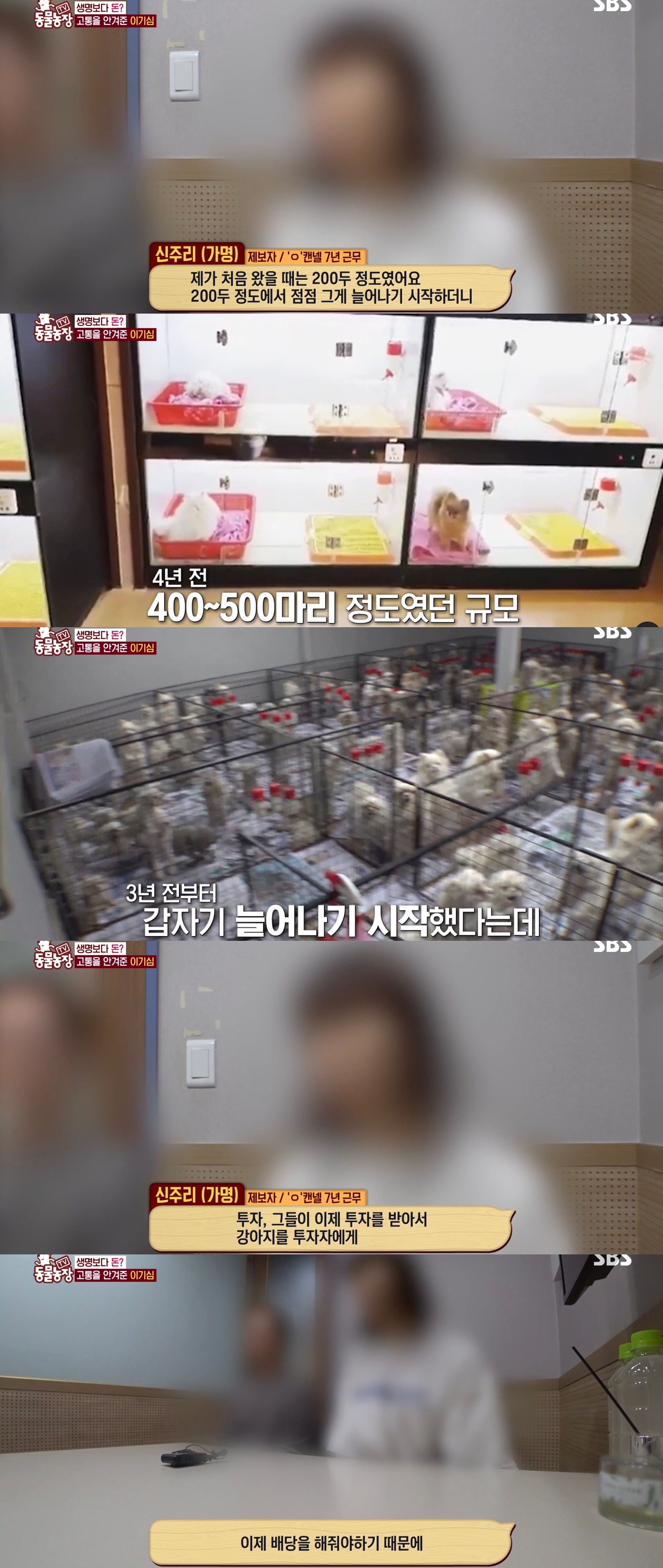 충격이다 못해 기괴한 오늘자 동물농장 폭로 방송 (충격주의).jpg | 인스티즈