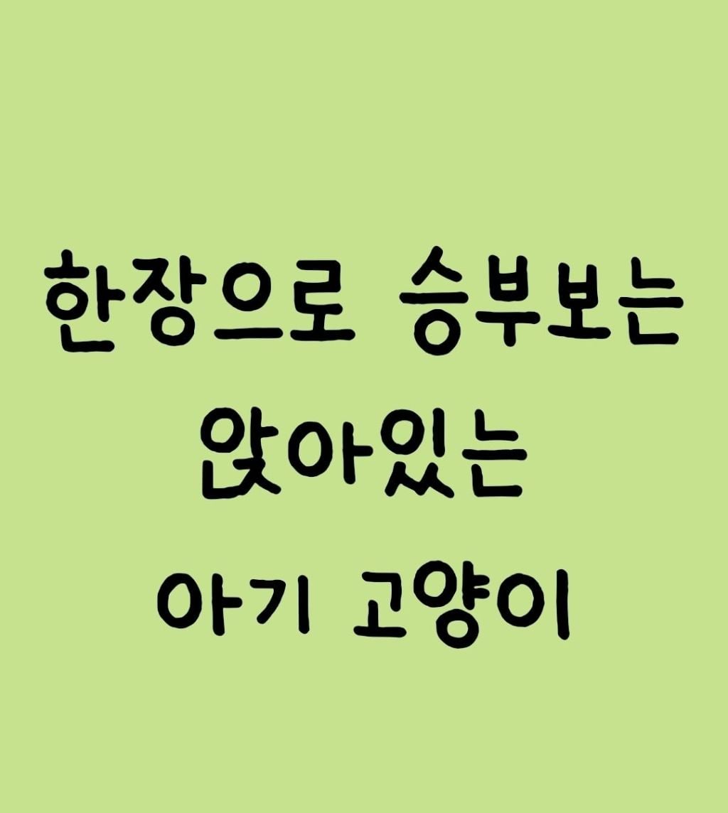 한장으로 승부보는 앉아있는 고양이 | 인스티즈