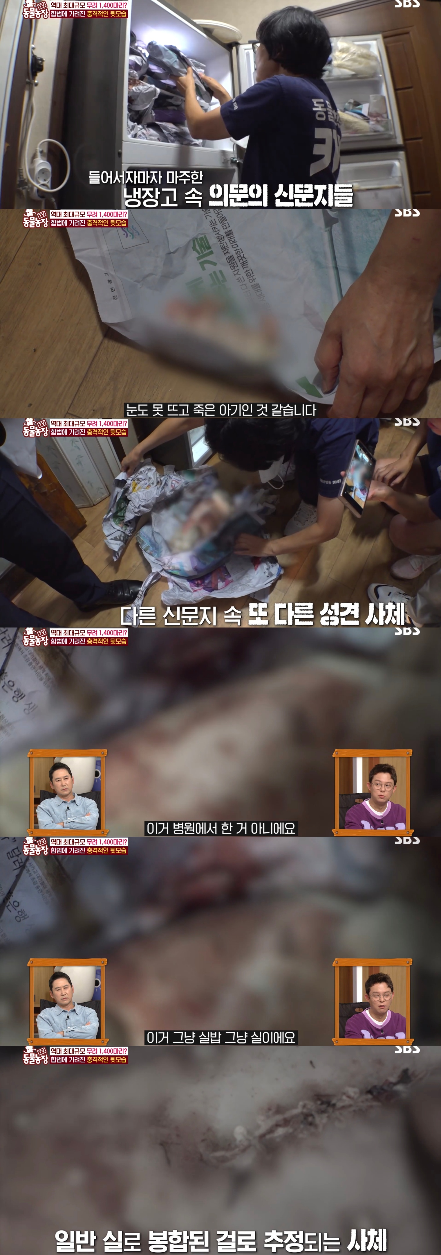 충격이다 못해 기괴한 오늘자 동물농장 폭로 방송 (충격주의).jpg | 인스티즈
