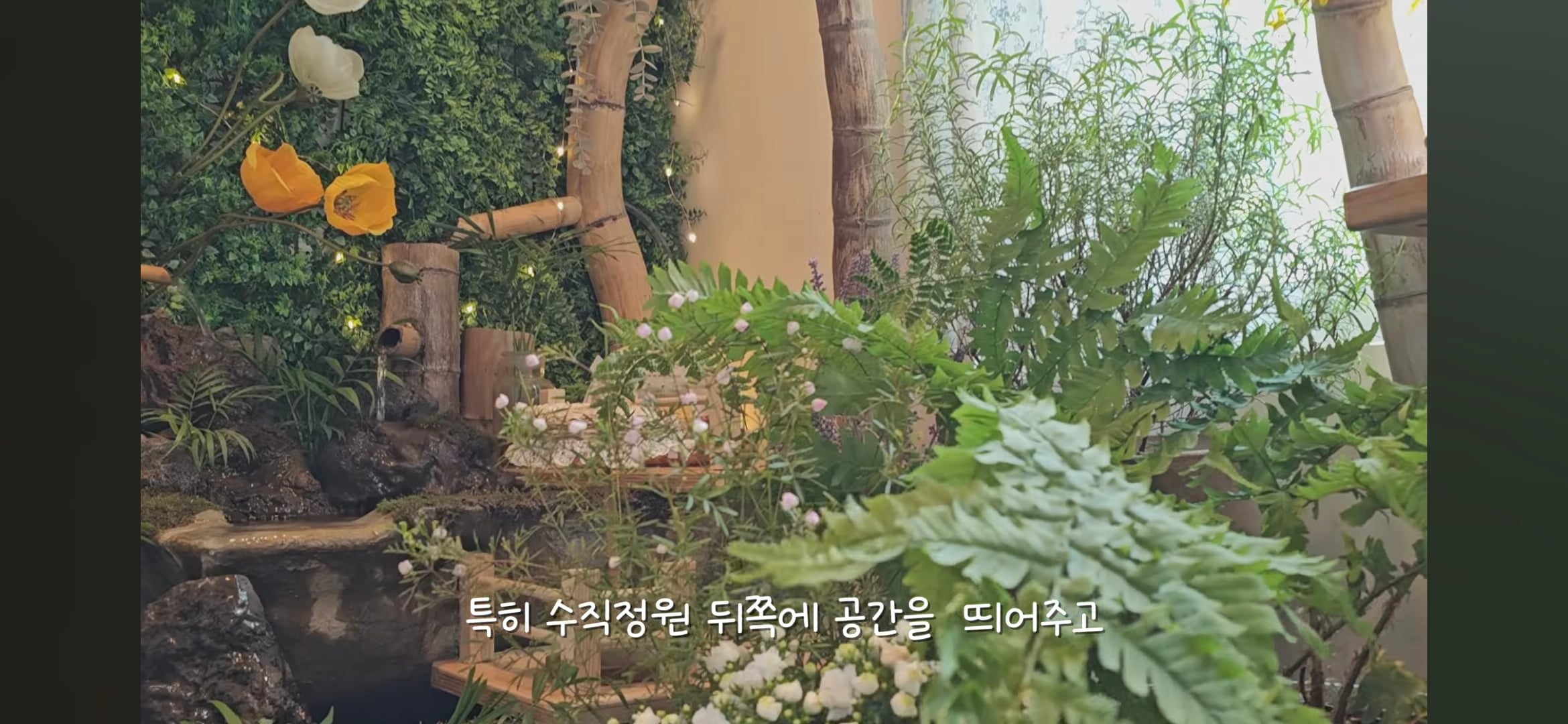 다이소로 만든 연못 정원🌿 관리 (+🐦🦜) | 인스티즈