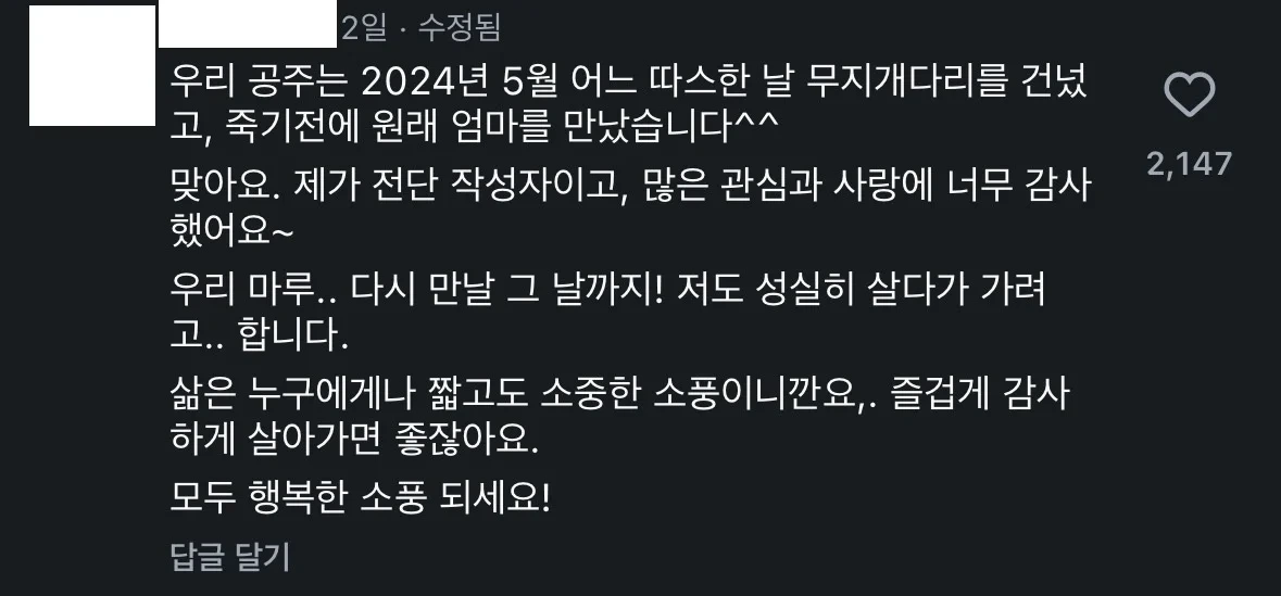 17년 전 강아지 주인 찾는 벽보 후기(?) | 인스티즈