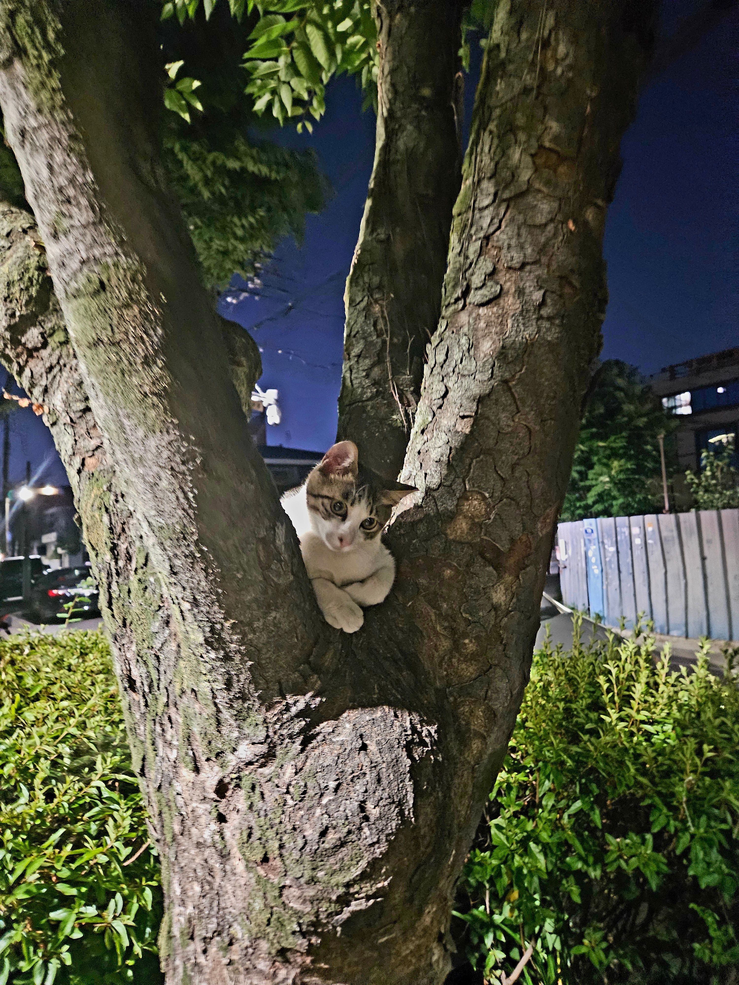 저기요. 거기 밤산책하는 오빠. | 인스티즈