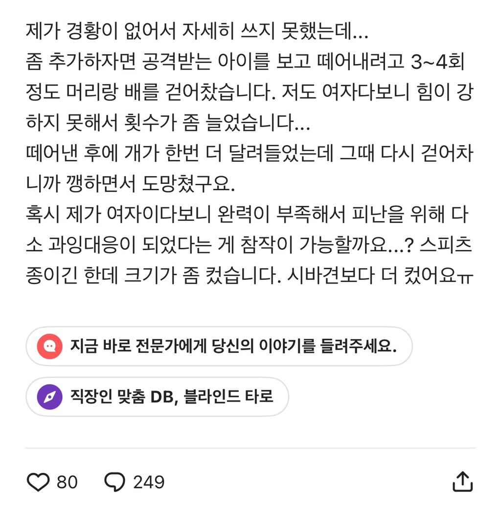 개 상해비를 얼마를 물어줘야할지 조언 부탁드려요.blind | 인스티즈