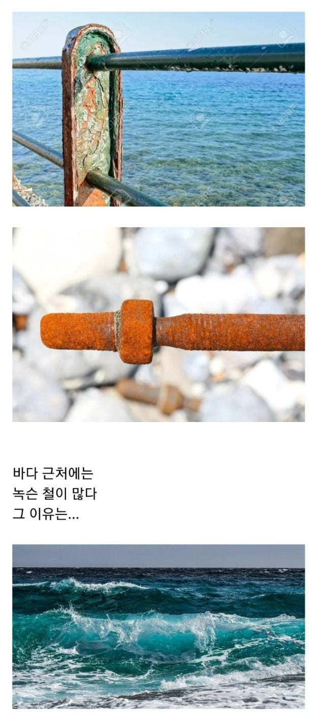바닷물이 철을 녹슬게 만드는 이유 ㅋㅋㅋ | 인스티즈