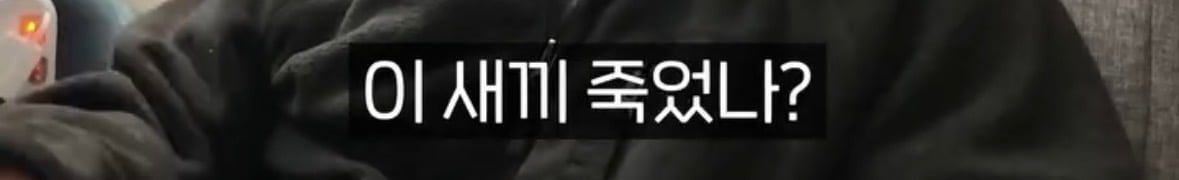 탈북자가 북한에서 생긴 가장 큰 트라우마 | 인스티즈