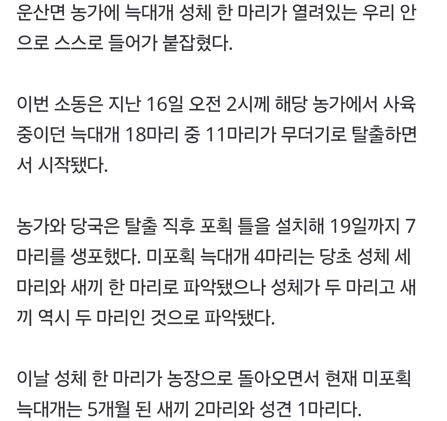 서산서 탈출한 '늑대개' 한 마리 스스로 돌아와…농장주 "당황스럽다" | 인스티즈