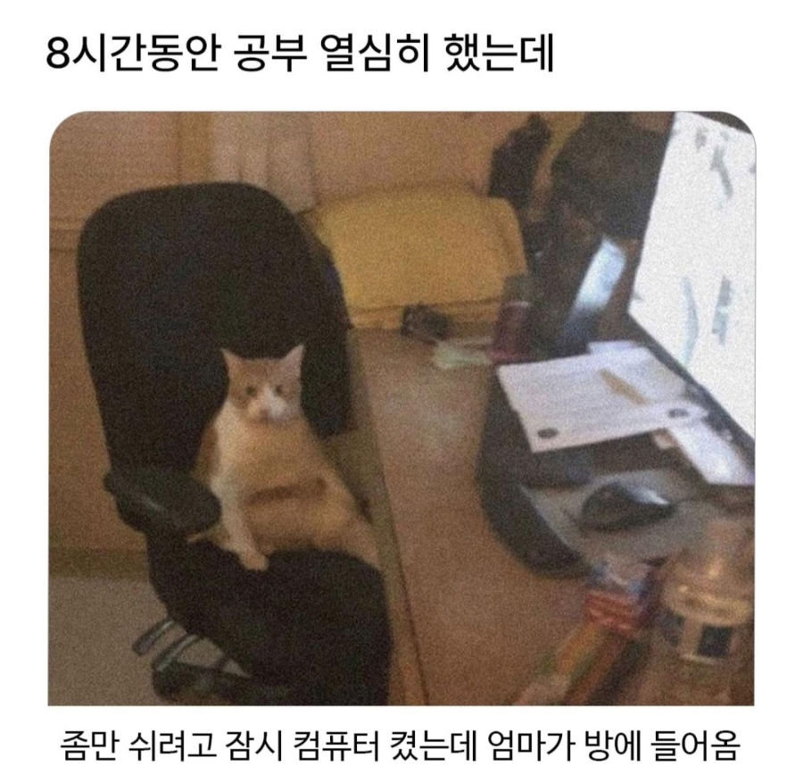 8시간동안 공부 열심히 했는데 | 인스티즈