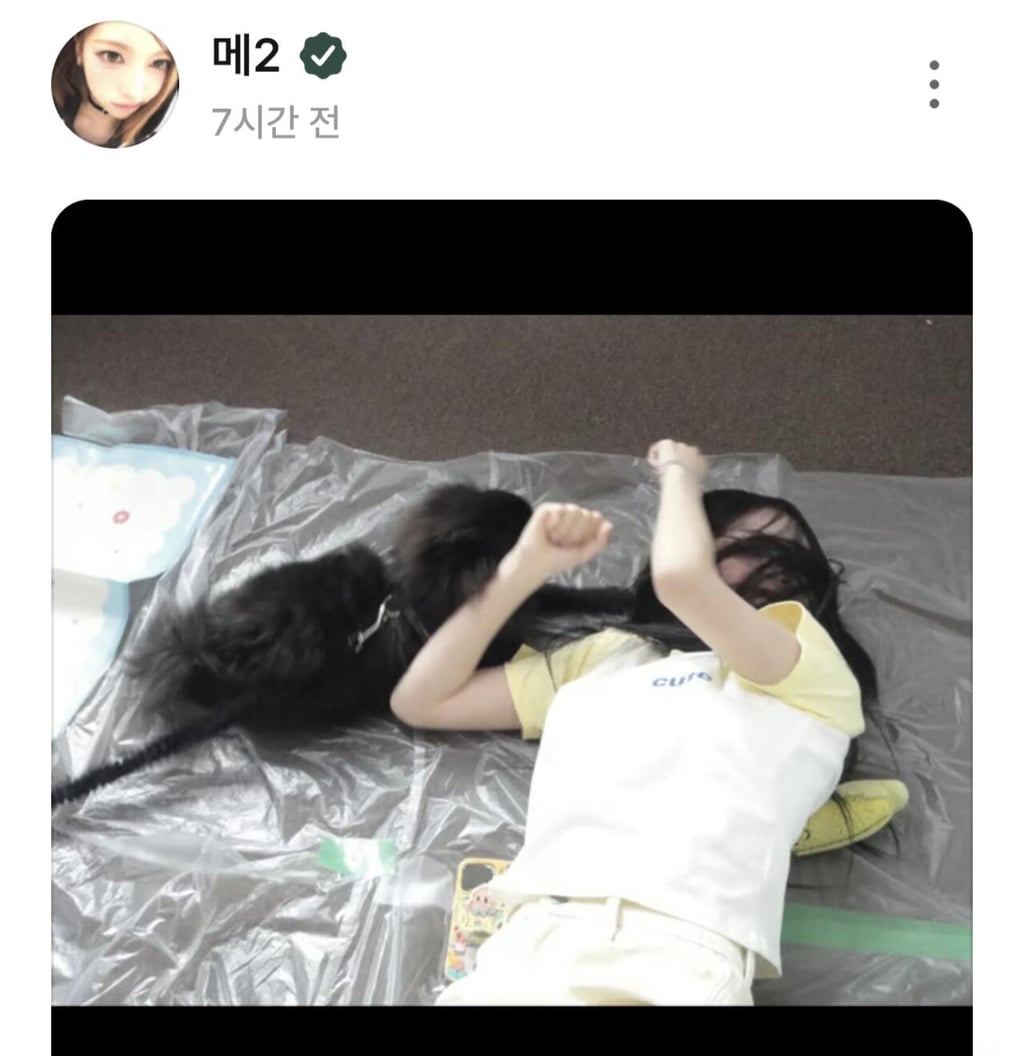 개한테 머리 뜯기는중인 리센느 메이 | 인스티즈