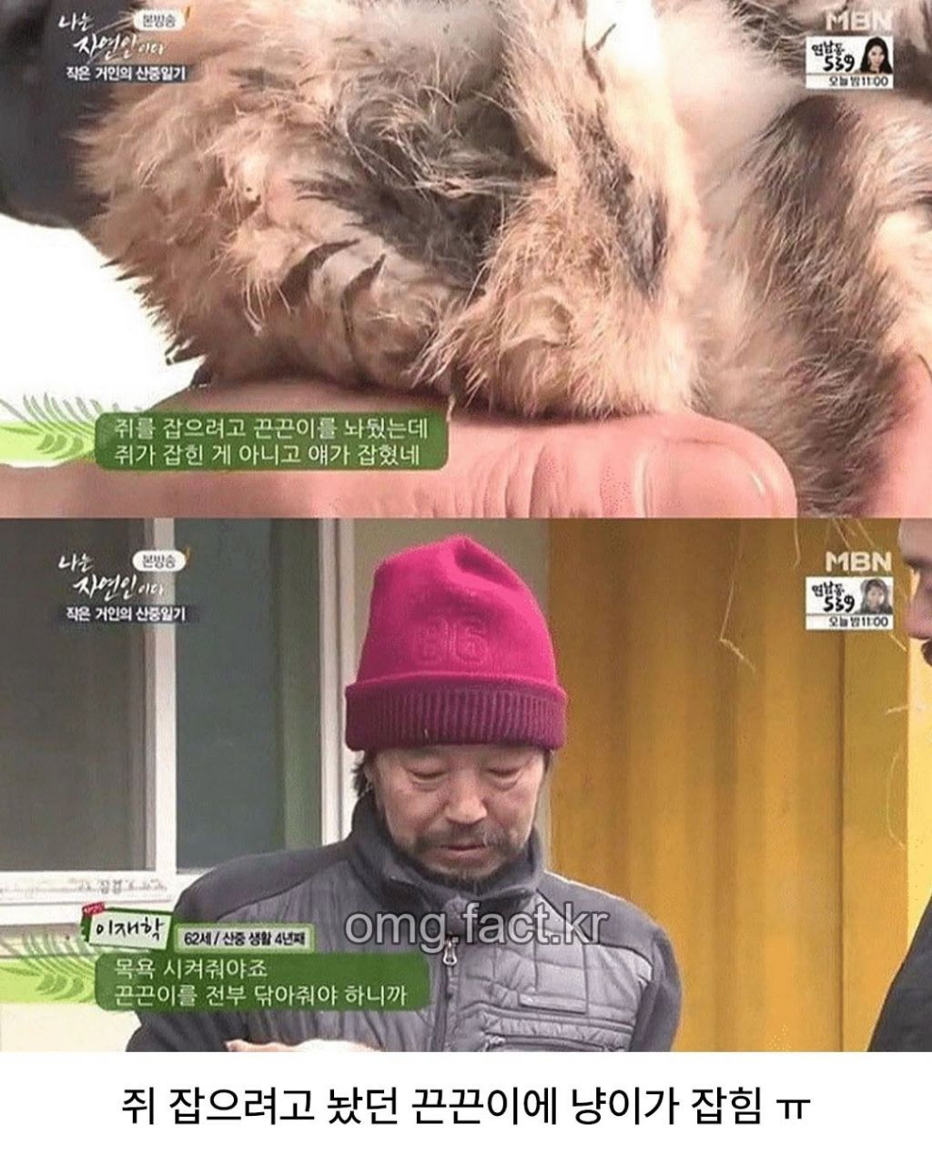 나는 자연인이다에서 나온 냥빨 | 인스티즈