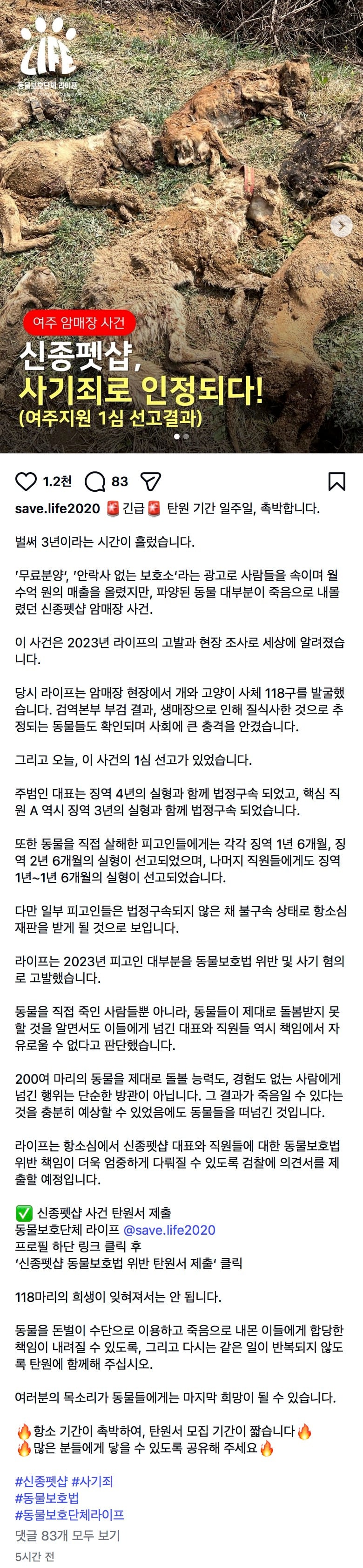 윈터가 신종펫샵에서 분양을 받았든 보호소 입양을 했든 | 인스티즈
