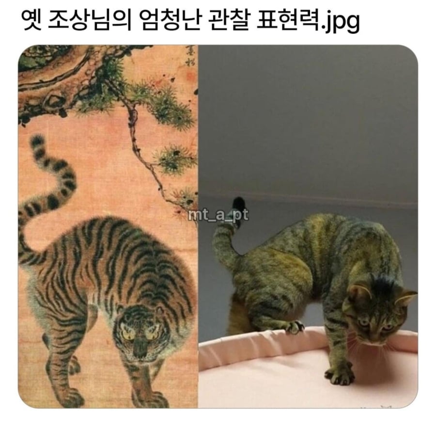 옛 조상님의 엄청난 관찰 표현력 | 인스티즈
