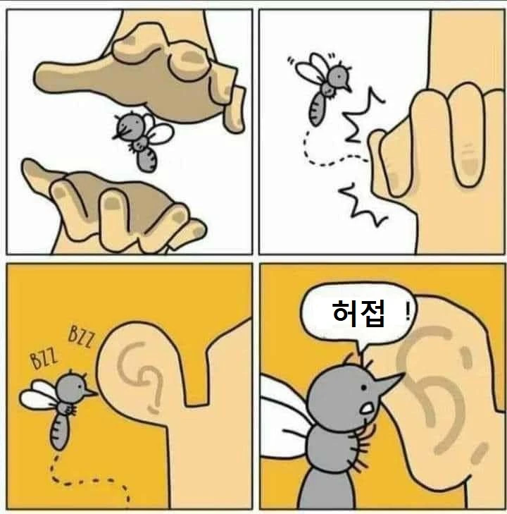 모기가 귀에서 윙~ 거리는 이유 | 인스티즈
