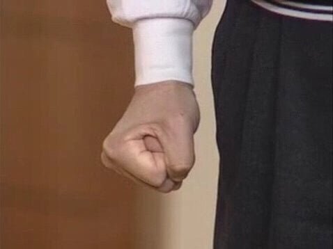 고양이 : 아 언니. 이 케익 안전한지 내가 맛본거라고!!! 화내지말라구 | 인스티즈