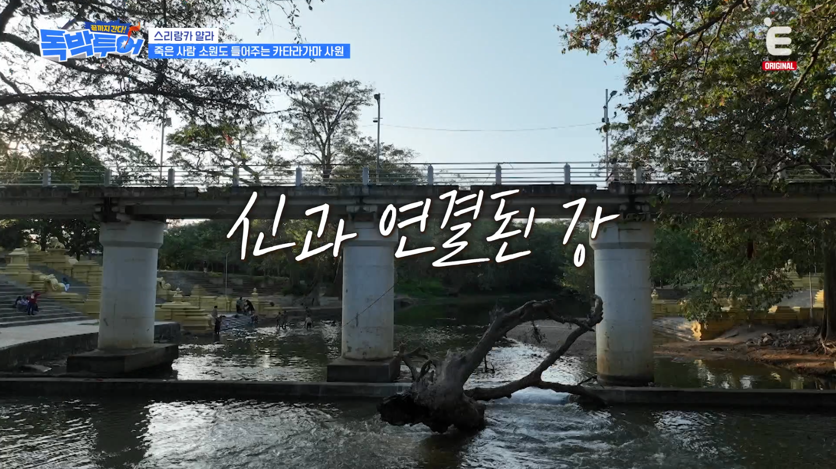 악어 사는 스리랑카 메닉강 맨발 가능VS불가능 | 인스티즈