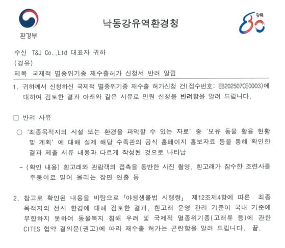 '고래류 17마리 폐사' 거제씨월드에서 새끼 잃은 엄마 벨루가까지 수출하려다 저지…커지는 법적 공방 | 인스티즈