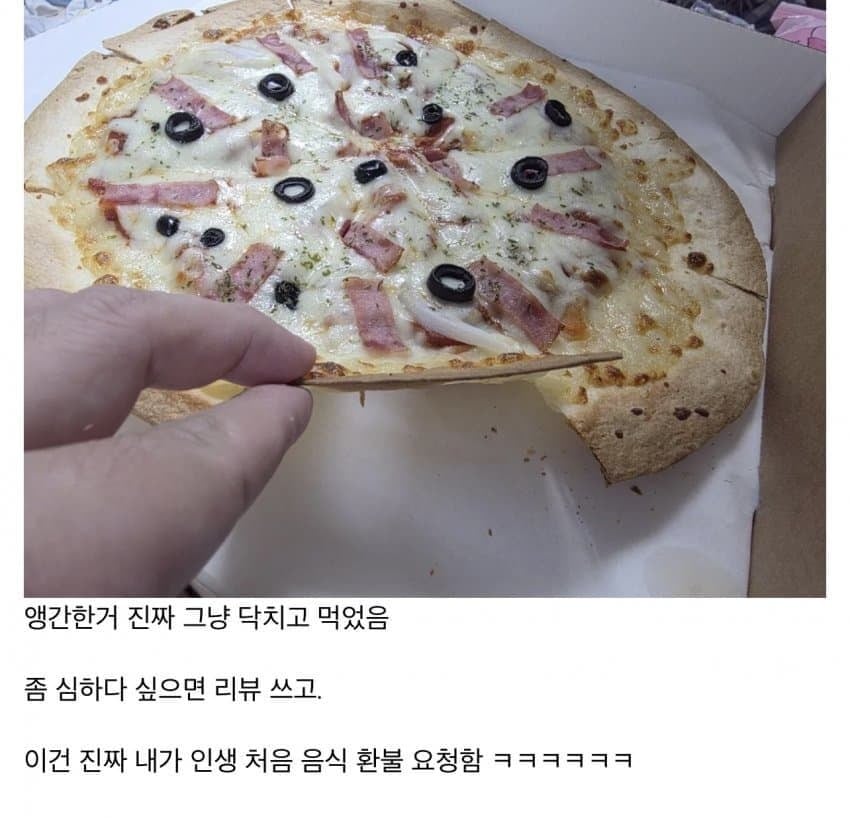 반도체 피자 | 인스티즈