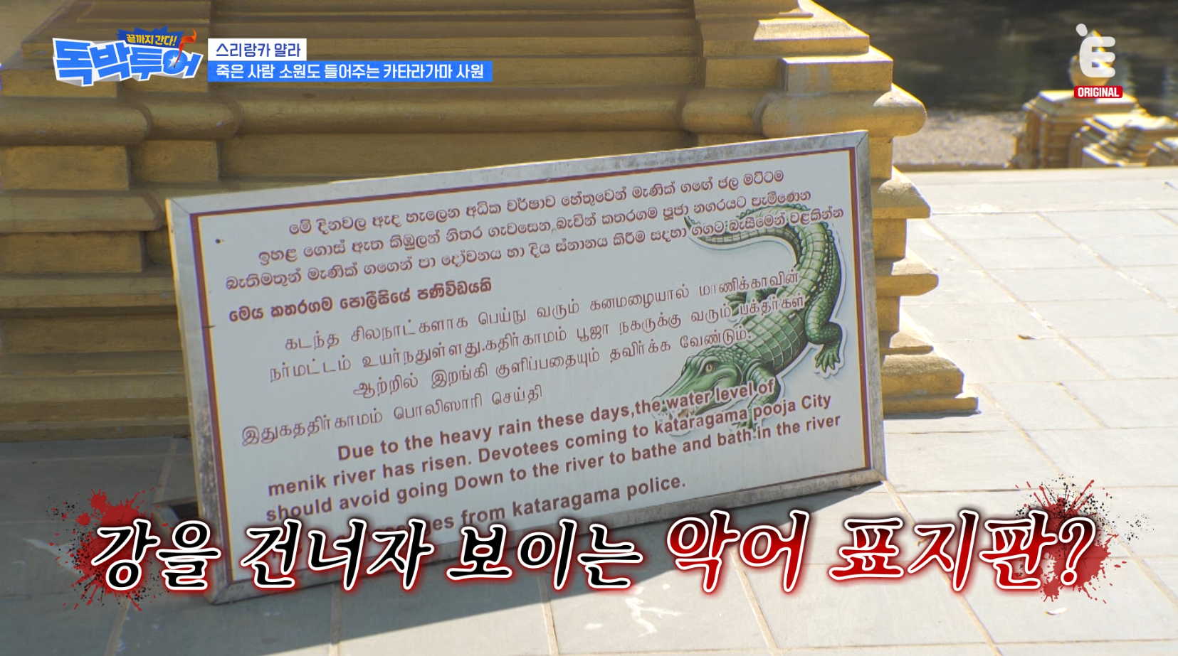 악어 사는 스리랑카 메닉강 맨발 가능VS불가능 | 인스티즈