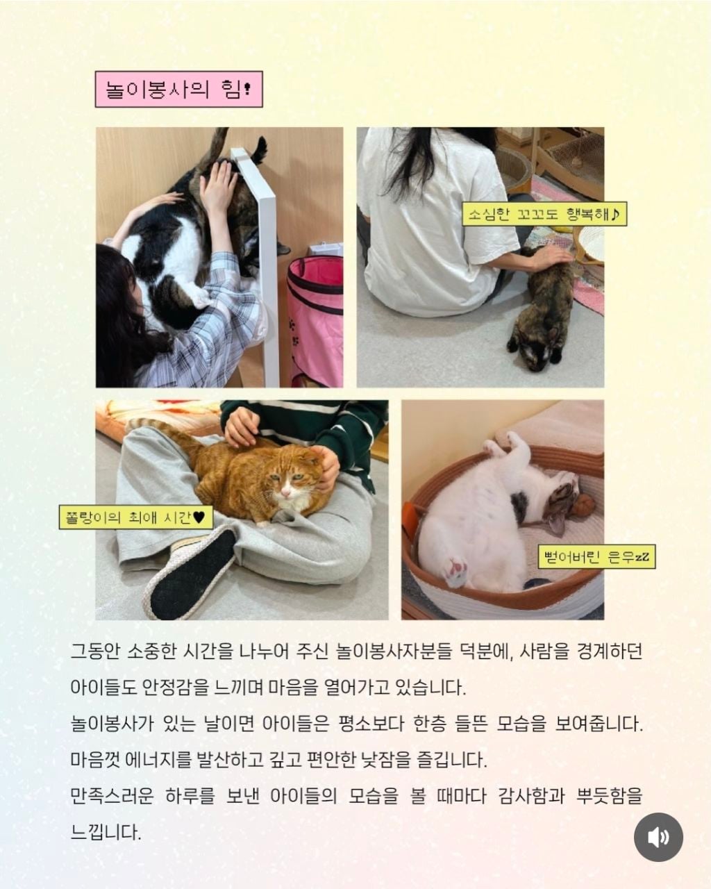 매주 토요일 고보협 입양센터 놀이봉사자 모집‼️‼️ | 인스티즈