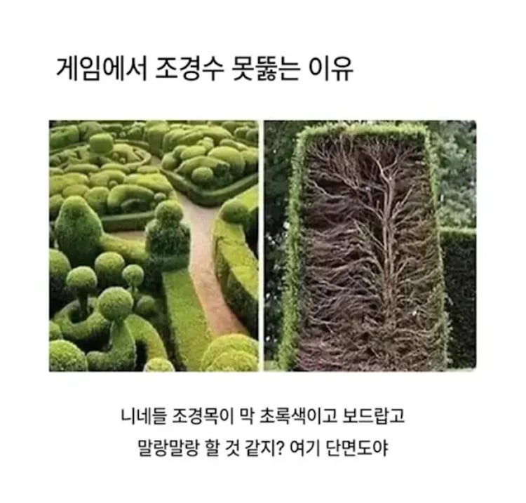 게임에서 조경수를 못 뚫는 이유 | 인스티즈