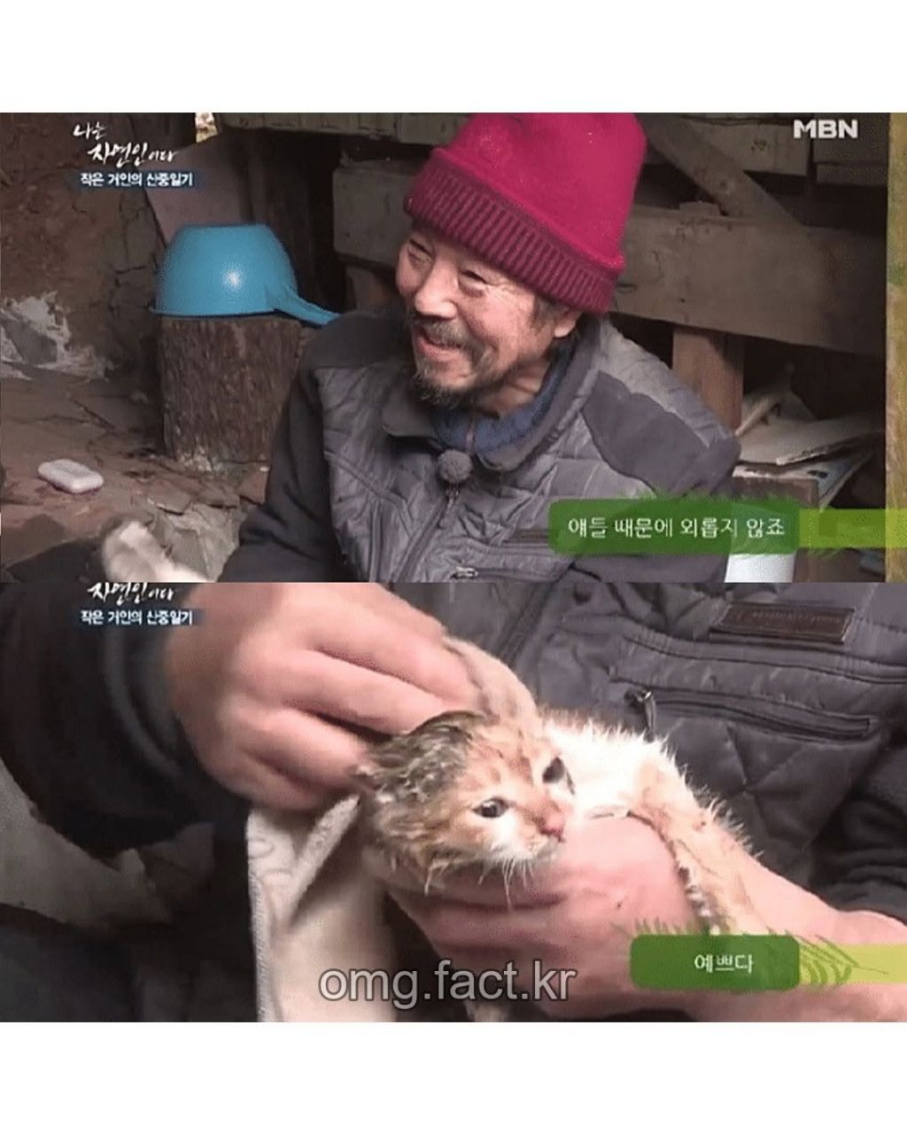 나는 자연인이다에서 나온 냥빨 | 인스티즈