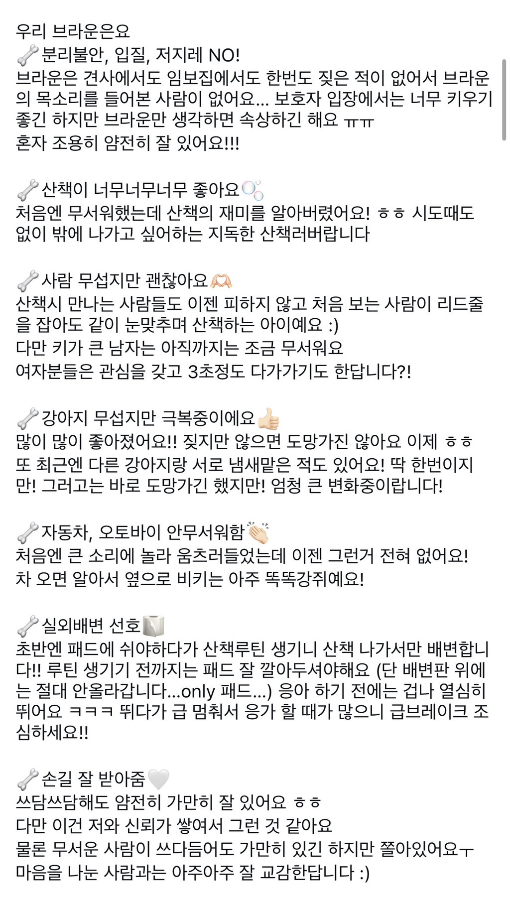 7년 쉼터생활 끝에 기적적으로 가정임보를 갔지만 오늘 다시 쉼터로 돌아가게 되어 눈물 흘리는 브라운 | 인스티즈