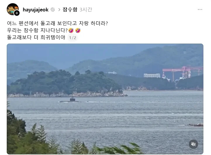 돌고래가 보인다는 펜션에 위기감을 느낀 사장님 | 인스티즈
