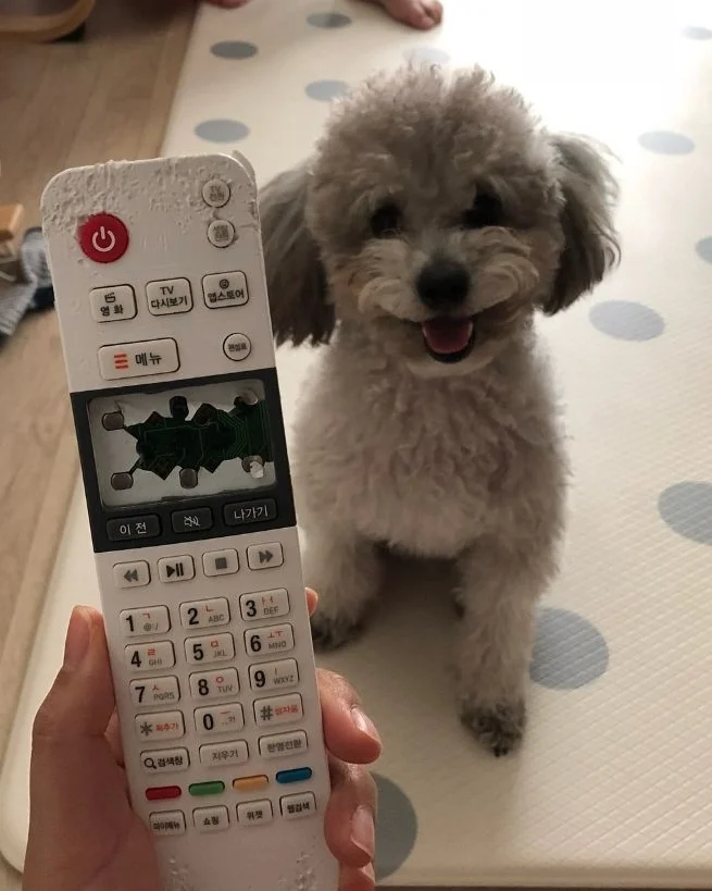 ??? : 니가 뭘 할 수 있는데 ㅋㅋㅋ | 인스티즈