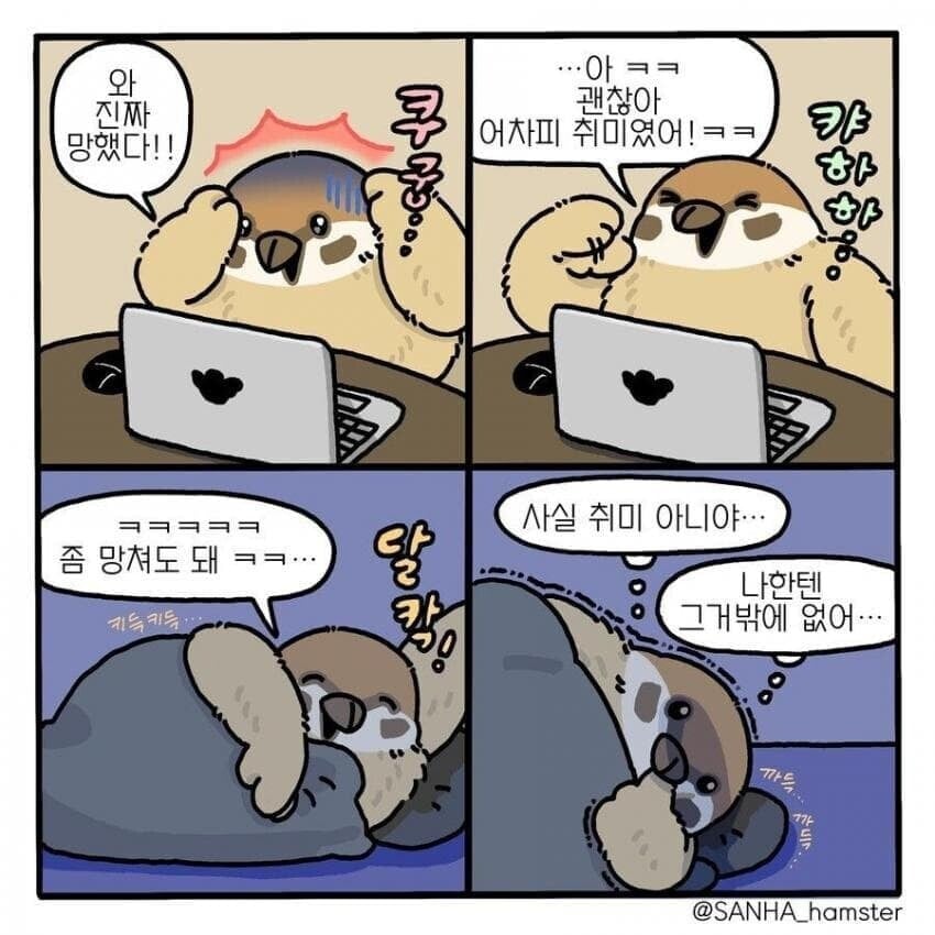 괜찮아 어차피 취미였어 ㅋㅋ | 인스티즈