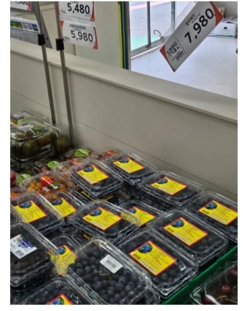 무단으로 블루베리 5KG 넘게 몰래 따간 사람 | 인스티즈