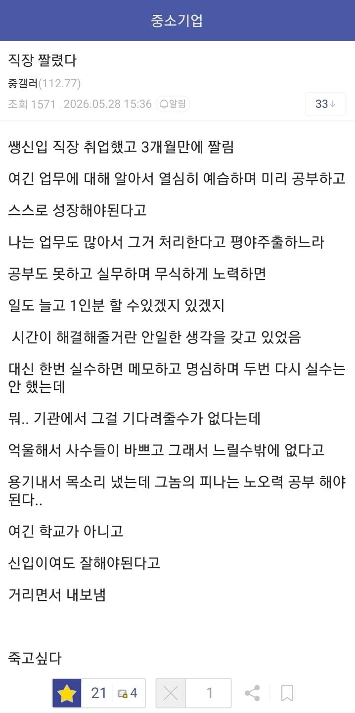 신입 취업하고 3개월만에 잘렸다 죽고싶다 | 인스티즈
