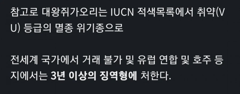 ???:아니 범고래가 줬다니까요 정말입니다 | 인스티즈