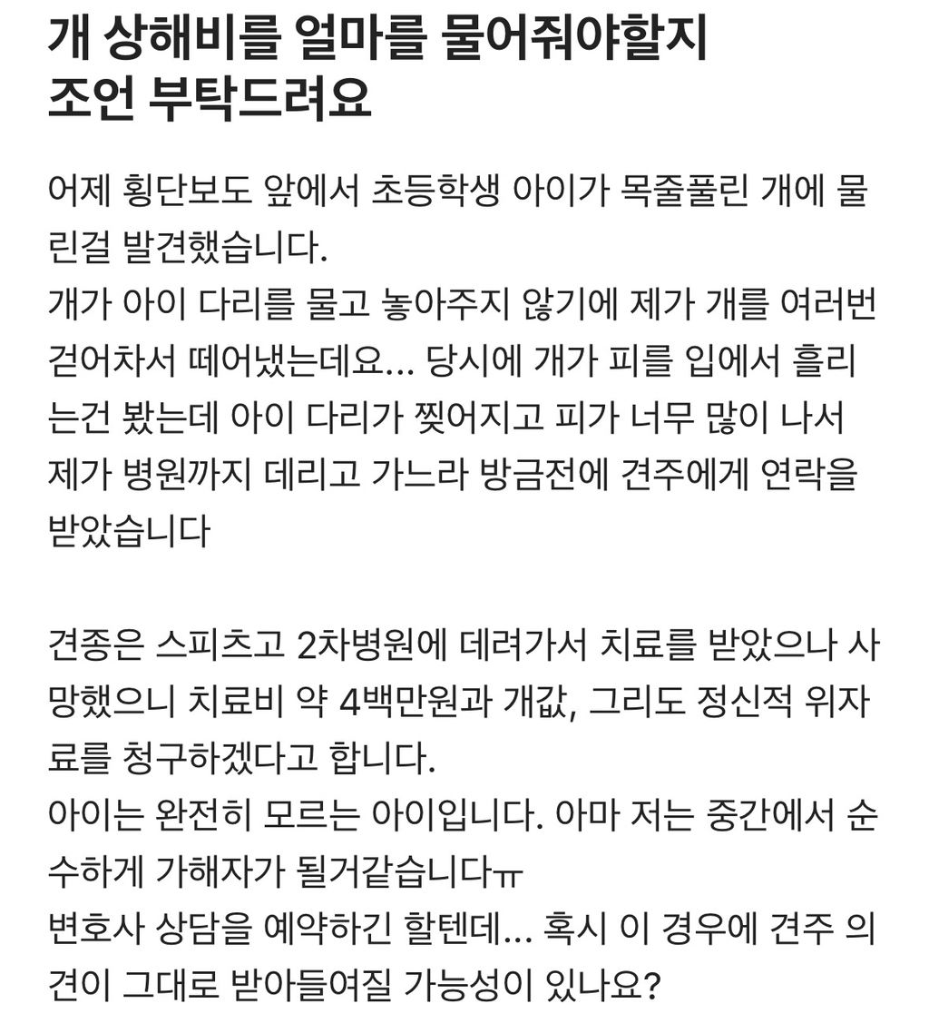 개 상해비를 얼마를 물어줘야할지 조언 부탁드려요.blind | 인스티즈