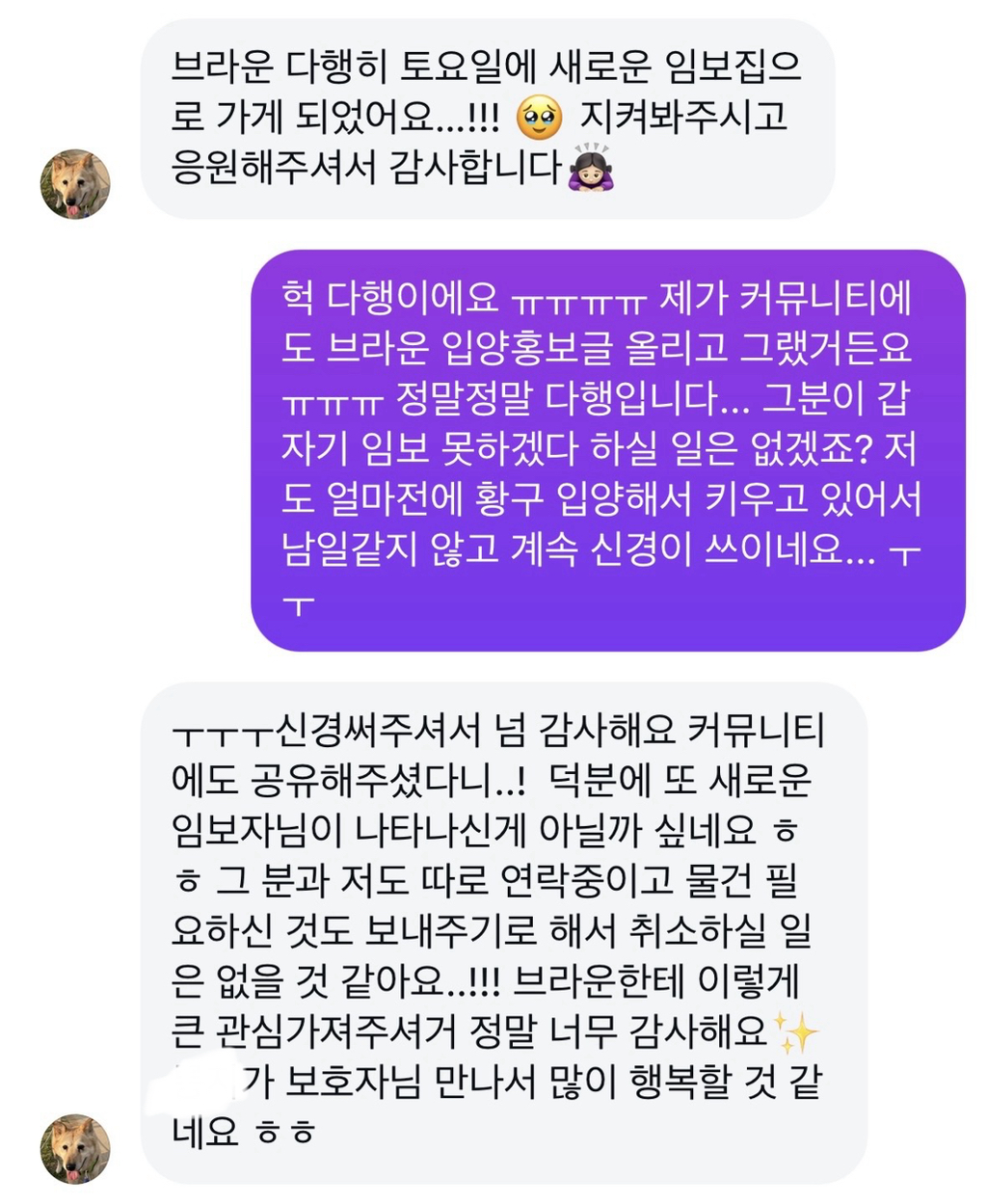 7년 쉼터생활 끝에 기적적으로 가정임보를 갔지만 오늘 다시 쉼터로 돌아가게 되어 눈물 흘리는 브라운 | 인스티즈