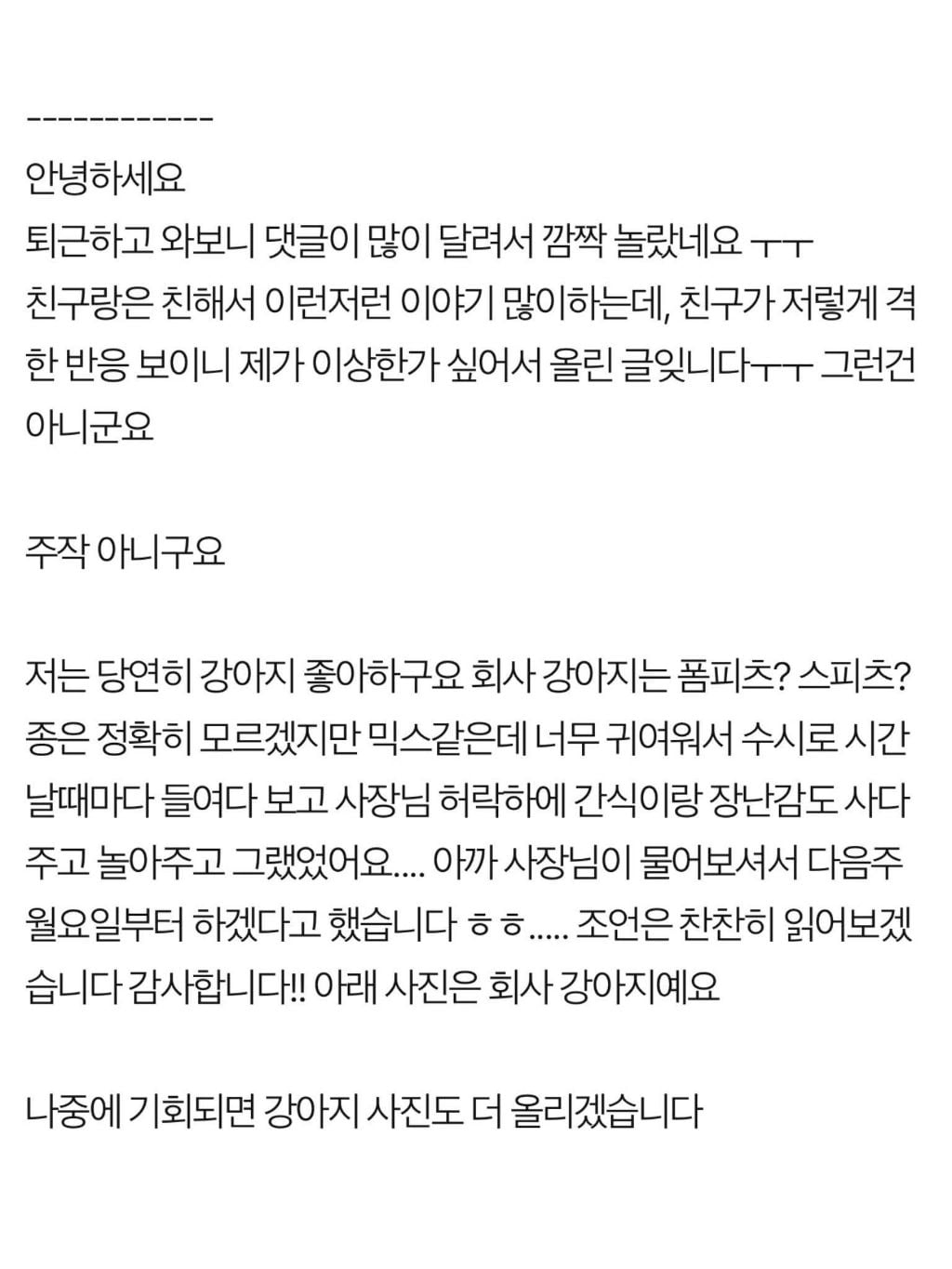 회사 사장님이 강아지를 산책 시켜 달라고 합니다 | 인스티즈