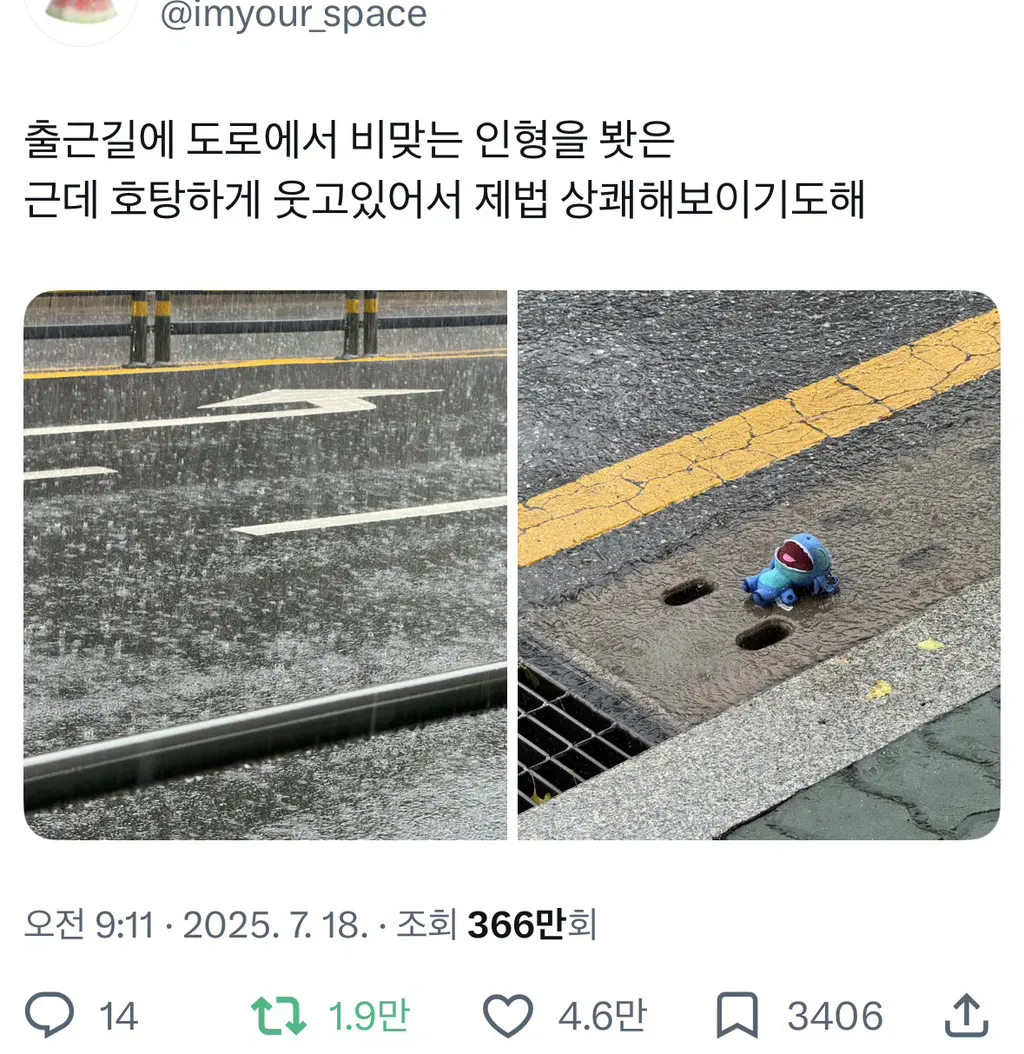 출근길에 비 맞는 인형을 봤다 | 인스티즈