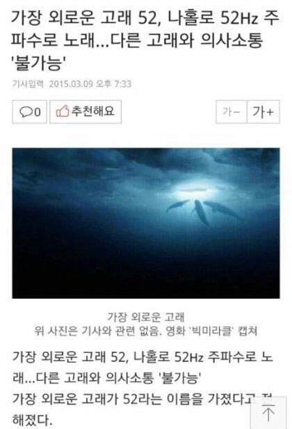 관점이 특이한 아이돌 수록곡들 | 인스티즈