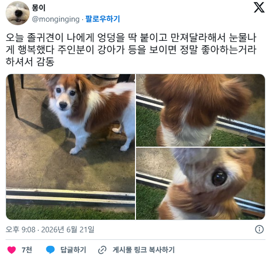 오늘 졸귀견이 나에게 엉덩을 딱 붙이고 만져달라해서 눈물나게 행복했다 | 인스티즈