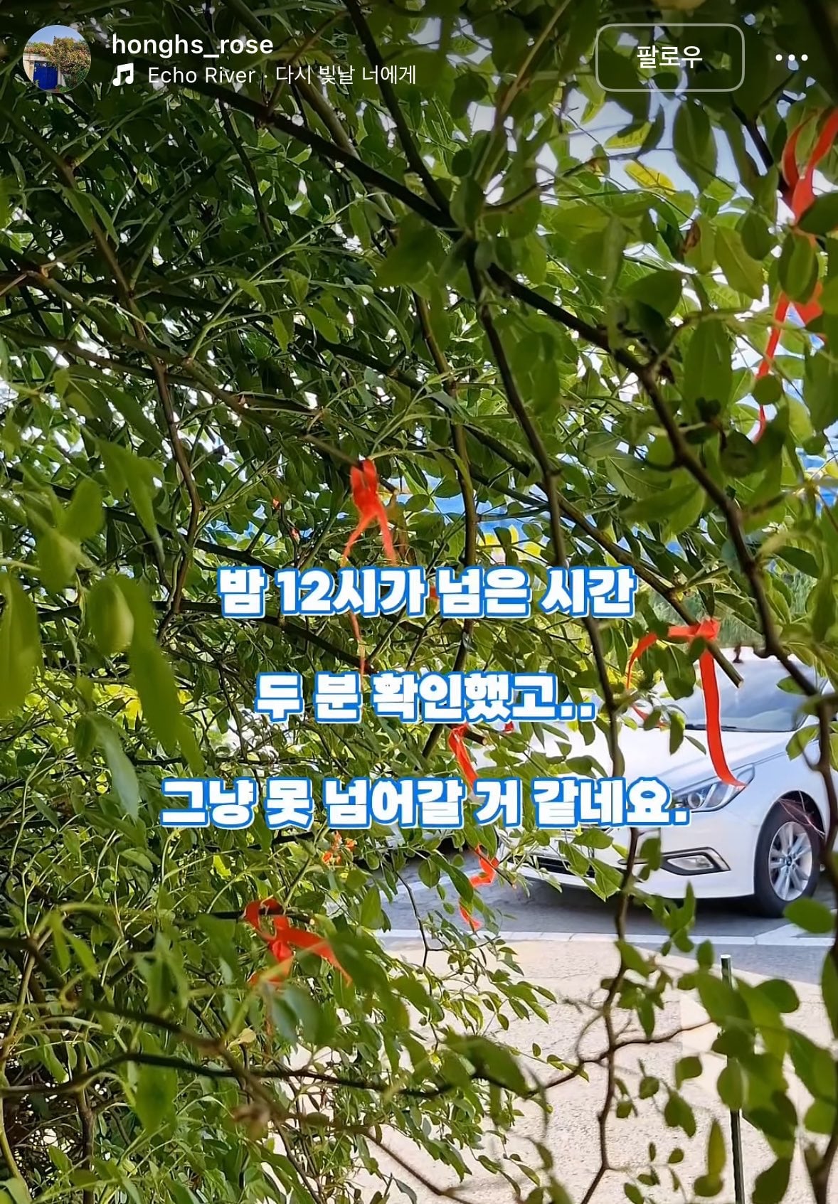 젊은 부부가 사유지 장미 무단으로 잘라서 훔쳐감 | 인스티즈