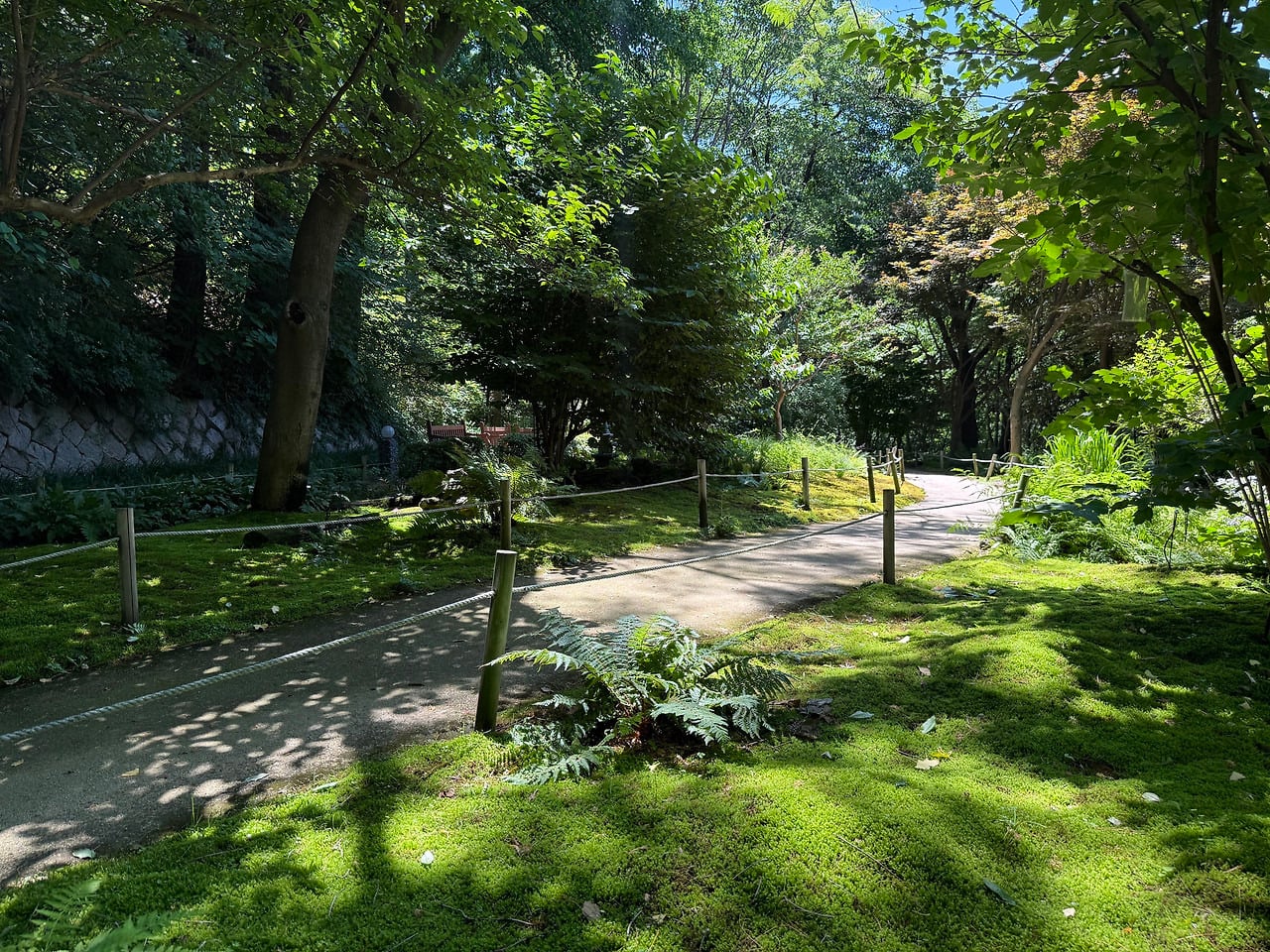 서울 한복판에 전국 전통숲을 다 모아놓은 정원 생김🌳 | 인스티즈