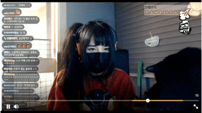 고양이때문에 강제 얼굴 공개됐던 스트리머 은퇴 예정 | 인스티즈