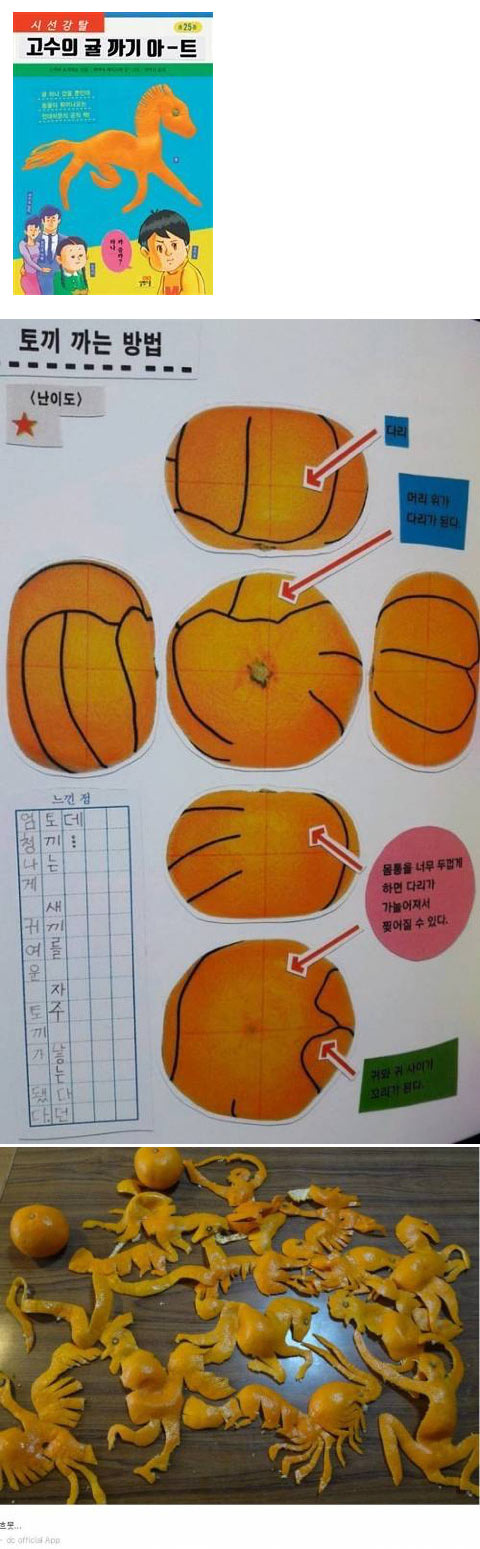 신기방기 귤까기 아트 | 인스티즈