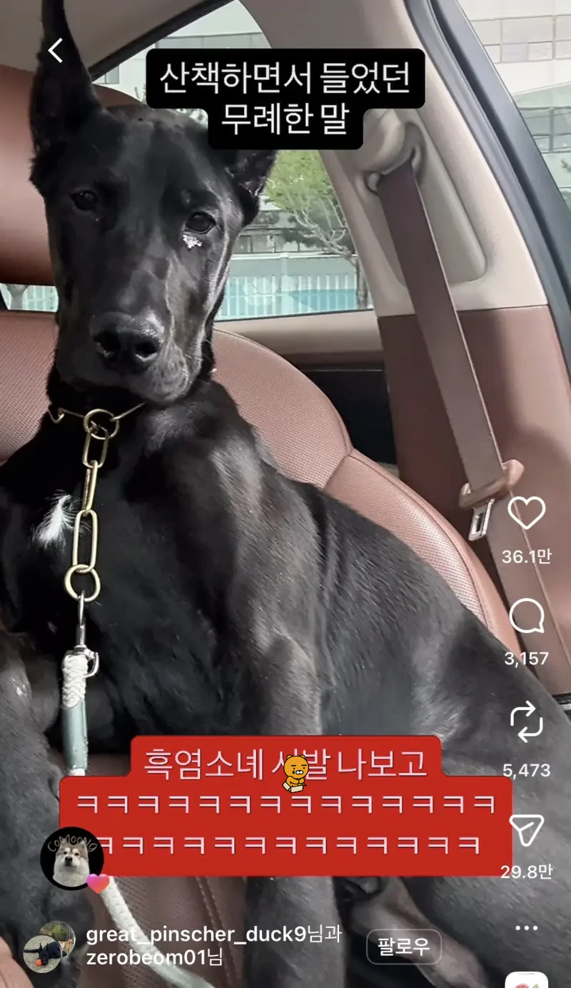 산책하면서 들었던 무례한 말 | 인스티즈