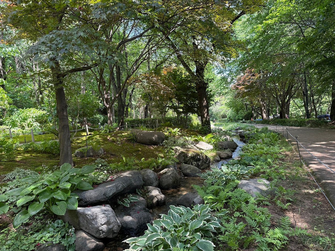 서울 한복판에 전국 전통숲을 다 모아놓은 정원 생김🌳 | 인스티즈
