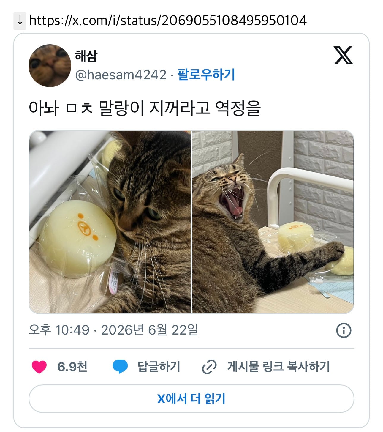아놔 ㅁㅊ 말랑이 지꺼라고 역정을 | 인스티즈